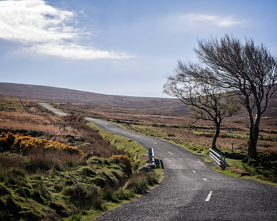 Mountain Road