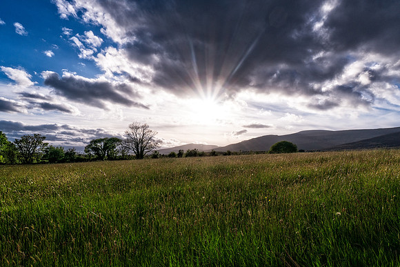 Farm Sunset