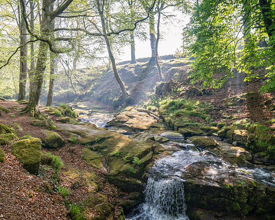 Mountain Stream 2