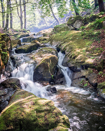 Mountain Stream 1