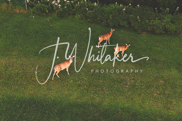 DJI_0015-Edit