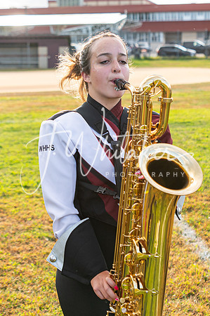 DSC_1351
