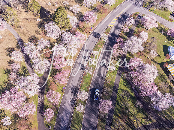 DroneSpecialSale (1)