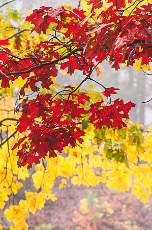 DSC_2008-Edit