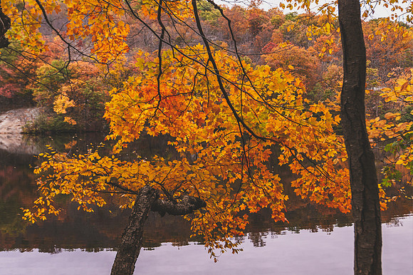 DSC_0812-Edit
