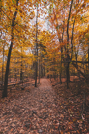 DSC_0717-Edit
