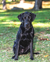 Buster (4)