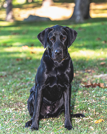 Buster (4)
