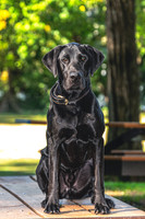 Buster (8)