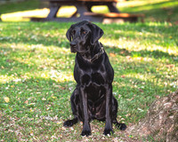 Buster (6)