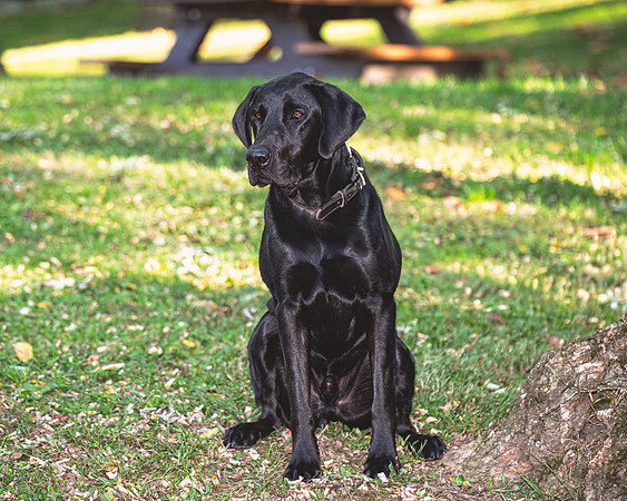 Buster (6)