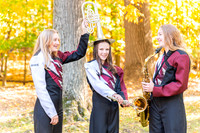 Stier26 (16)