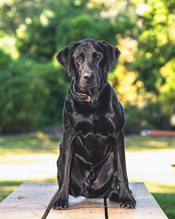 Buster (7)