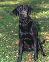 Buster (5)