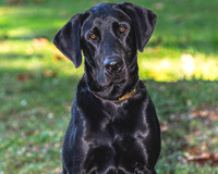 Buster (3)