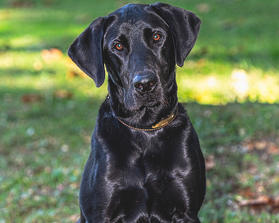Buster (3)