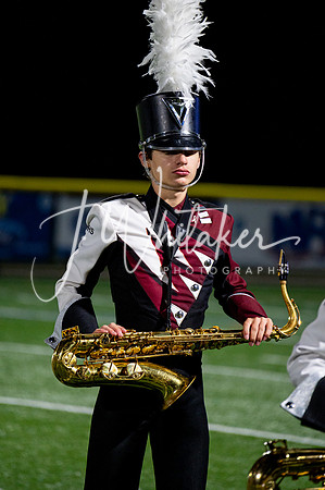 DSC_2993