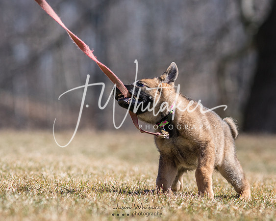 _DSC0871-Edit-Edit