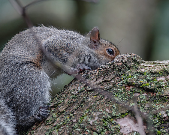 DSC_3970-Edit