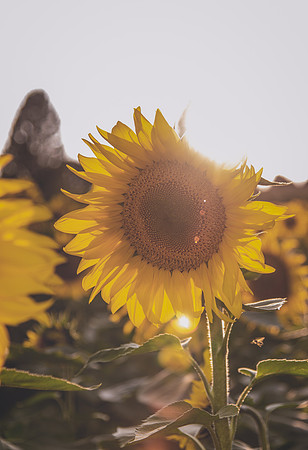 DSC_5093-Edit