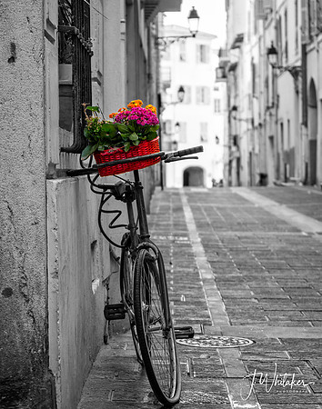 DS603257-Edit-Edit-3