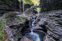 Watkins Glen
