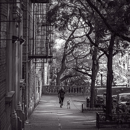 WashingtonHeights2021 (18)
