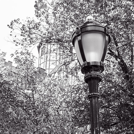 WashingtonHeights2021 (5)