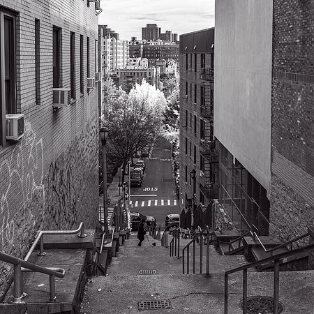WashingtonHeights2021 (9)