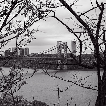 WashingtonHeights2021 (11)