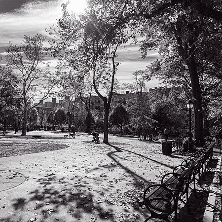 WashingtonHeights2021 (13)