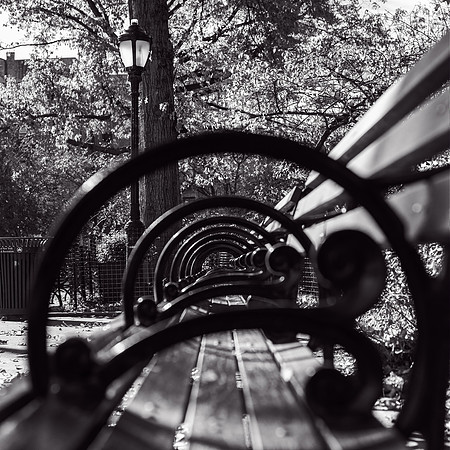 WashingtonHeights2021 (15)