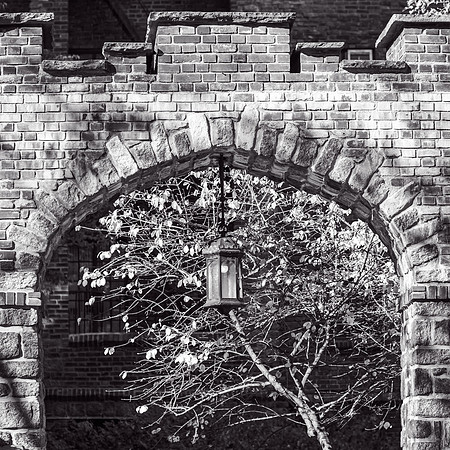 WashingtonHeights2021 (16)