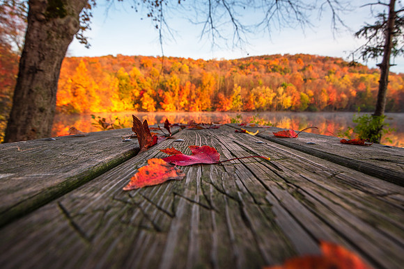 Ramapo Valley Reservation 2