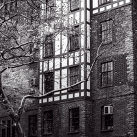 WashingtonHeights2021 (4)
