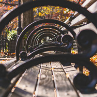 DSC_6826-Edit