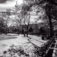 WashingtonHeights2021 (13)