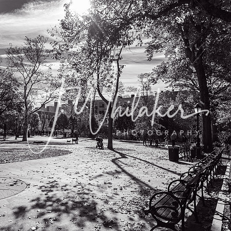 WashingtonHeights2021 (13)
