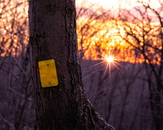 Ramapo Valley County Reservation  4