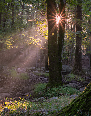High Mountain Park 1