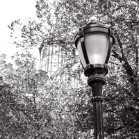 WashingtonHeights2021 (5)