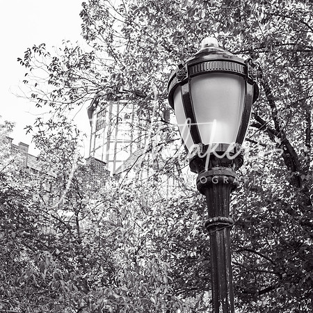 WashingtonHeights2021 (5)