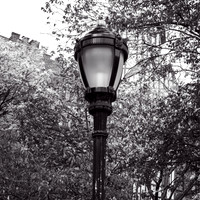 WashingtonHeights2021 (6)