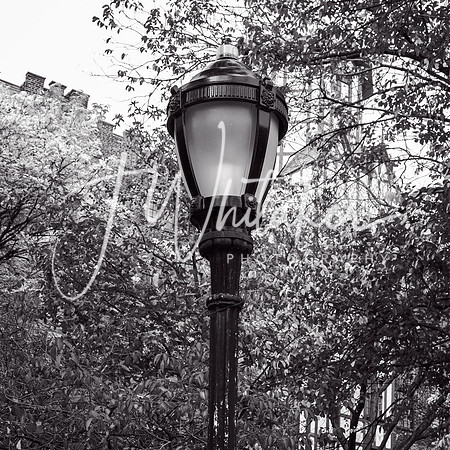 WashingtonHeights2021 (6)