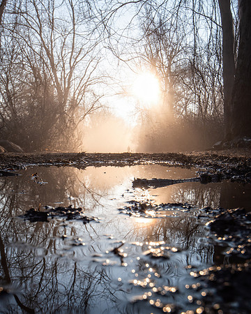 Ramapo Valley County Reservation 8