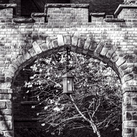 WashingtonHeights2021 (16)
