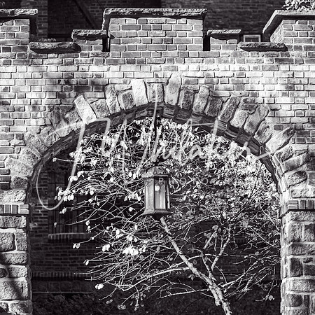 WashingtonHeights2021 (16)