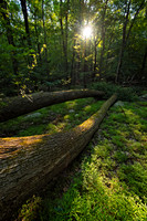 High Mountain (14)