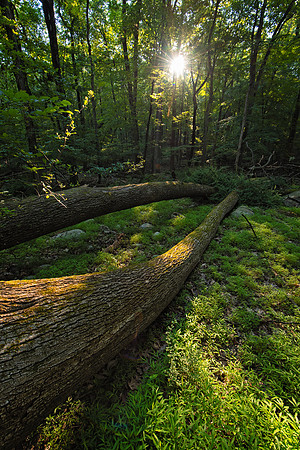 High Mountain (14)