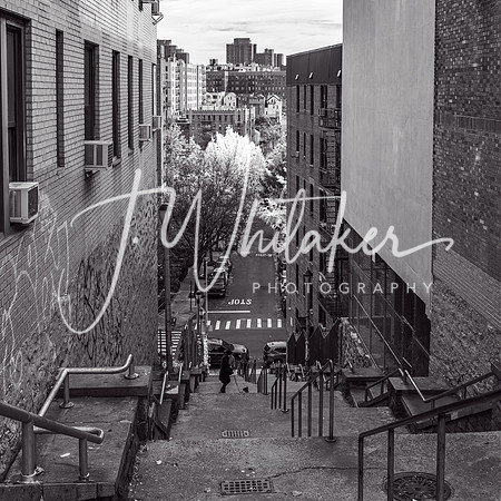 WashingtonHeights2021 (9)